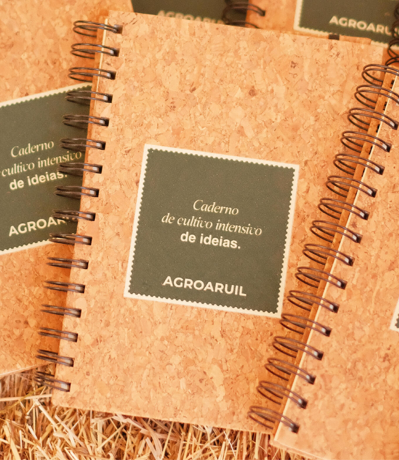 evento - AgroAruil pela GRINGO - caderno