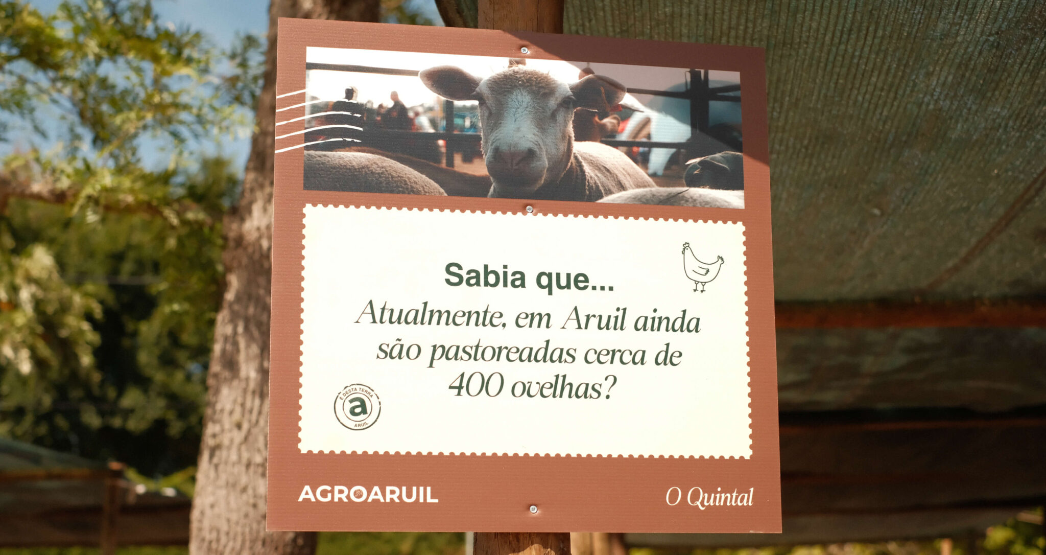 evento - AgroAruil pela GRINGO - sinalética O Quintal