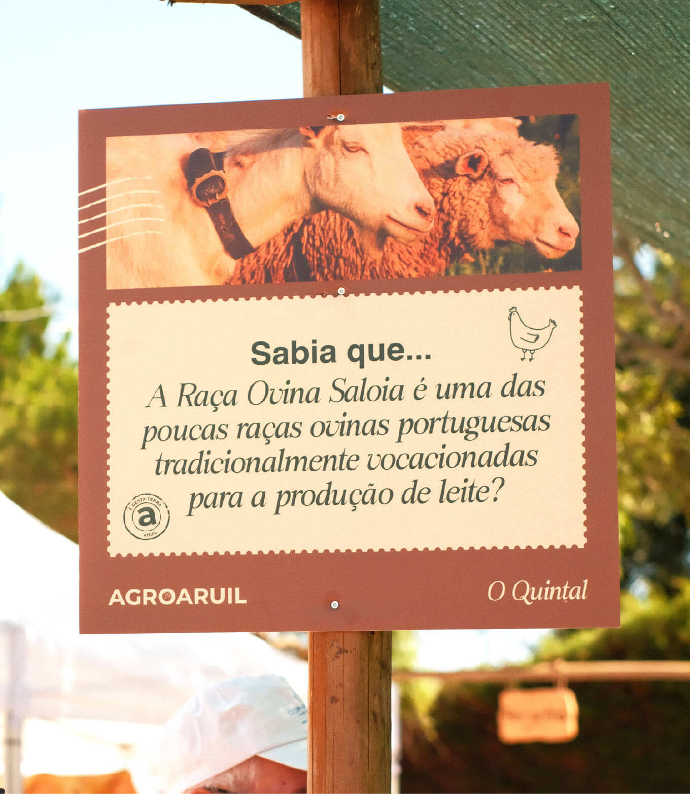 evento - AgroAruil pela GRINGO - sinalética o Quintal outra perspetiva