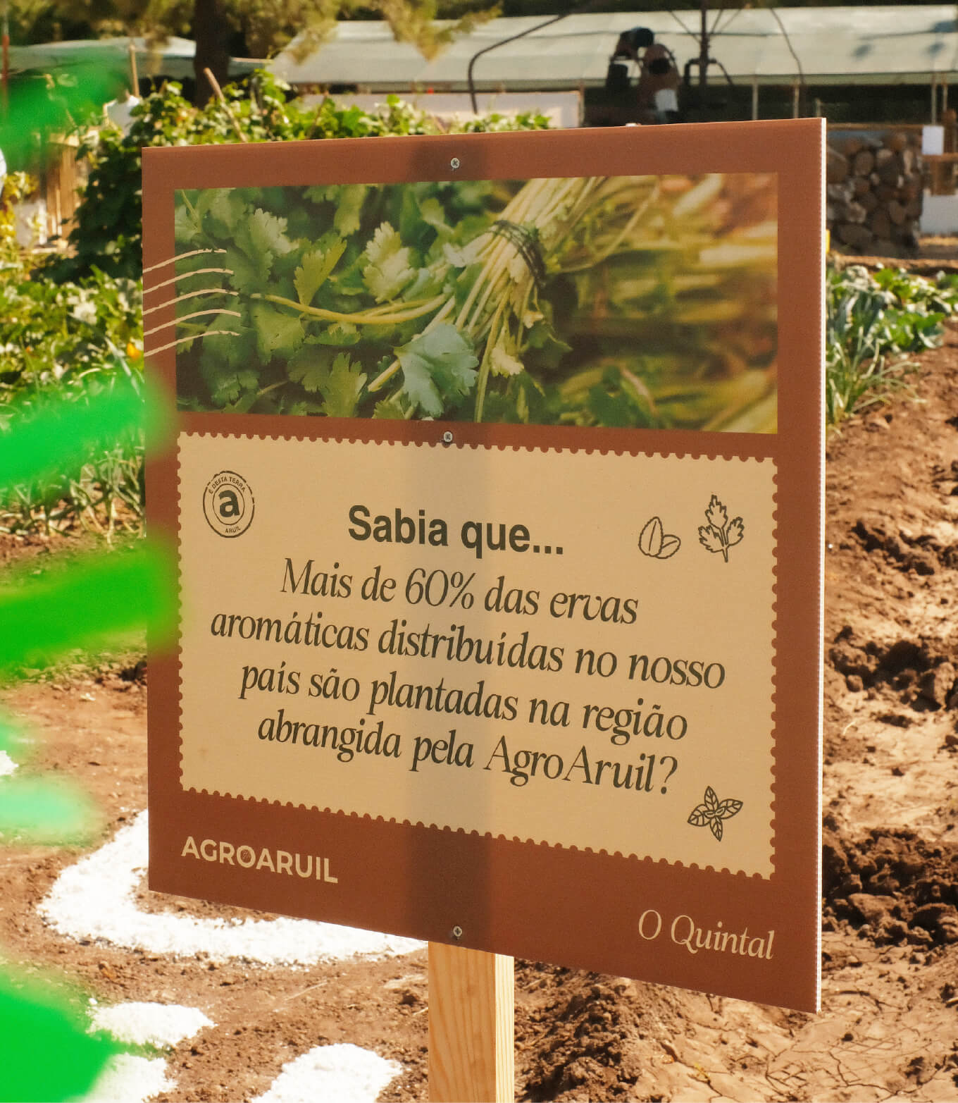 evento - AgroAruil pela GRINGO - sinalética o quintal nova perspetiva