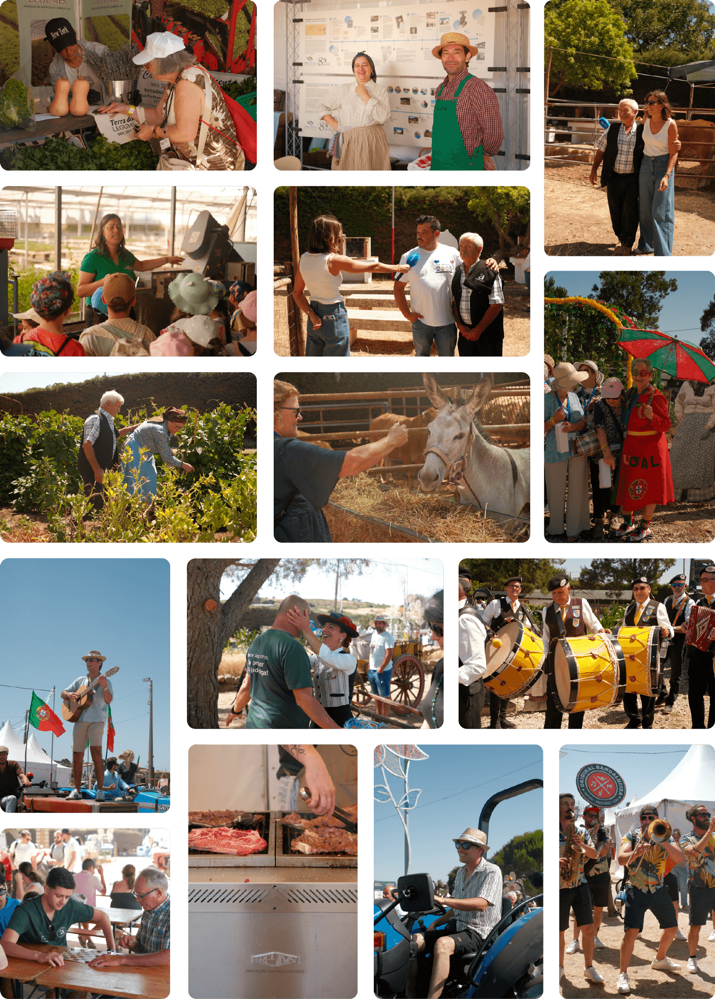 evento - AgroAruil pela GRINGO - produção de conteúdos